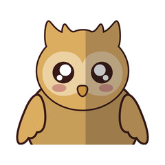 kawaii owl animal icon over white background. colorful desing. vector illustration