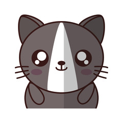 kawaii kitty animal icon over white background. colorful design. vector illustration
