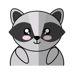 kawaii raccoon animal icon over white background. vector illustration