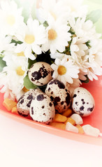 Eggs and daisies