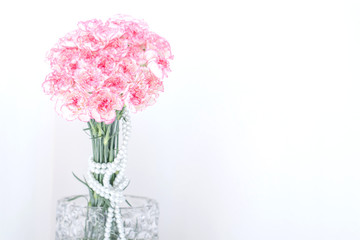 Pink Carnation Flowers.