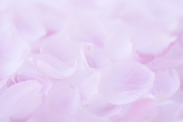 Obraz premium Abstract background.