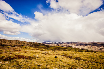 Icelandic landscape