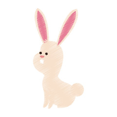rabbit or bunny cute animal cartoon icon image vector illustration design 