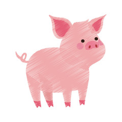 pig cute animal cartoon icon image vector illustration design 