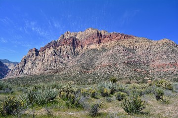 Red Rock Canyon National Conservation Area Las Vegas Nevada