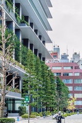 Obraz na płótnie Canvas Green trees on architecture building facade.