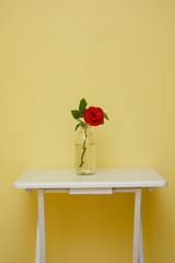 isolated red rose flower with green leaves