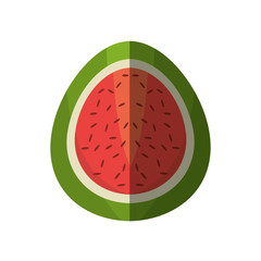 half watermelon fruit shadow vector illustration eps 10