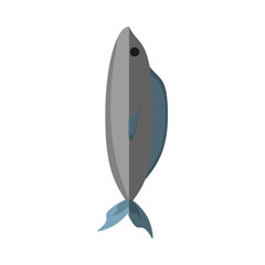 fish fresh nutrition shadow vector illustration eps 10