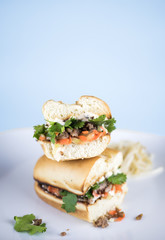 Bahn Mi on plate with blue background