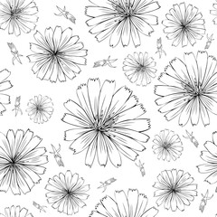 Chicory flower hand drawn graphic vector botanical illustration, doodle ink sketch isolated on white background, seamless pattern, medical endive plant contour for design greeting card, medicine