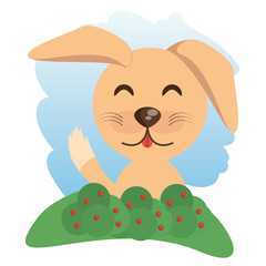cute dog animal winking vector illustration eps 10