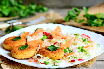 Chickpea cutlets and fresh vegetable salad on a plate. Fried chickpea cutlets. Cabbage salad with carrot, radish, green onions and parsley. Veggie lunch or dinner recipe. Rustic style. Closeup