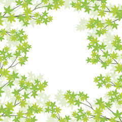 青紅葉のイラスト