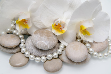     flat stones on a white glass on the background of white orchids 