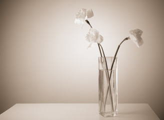 Narcissuses in a glass vase on a white table. Toned in sepia