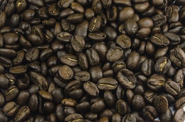 Macro close-up view of a lot of coffee beans laying on table
