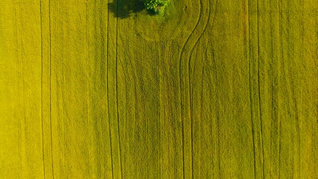 Aerial photography, lake, field, village