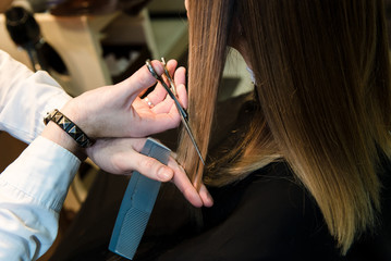 Obraz na płótnie Canvas Hairdresser holding hot thermal scissors cutting lock of long straight hair closeup. Hairdresser salon, modern technique, new hairdo concept. Professional hands in work, he is cutting long female hair