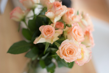 Zauberhafte rosa Rosen Nahaufnahme