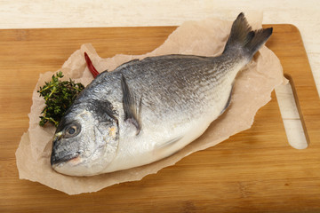 raw dorada fish