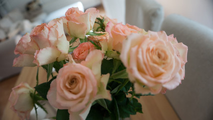 Zauberhafte rosa Rosen Nahaufnahme