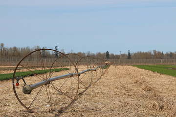 Quarter Viewpoint Commercial Agricultural Wheel Line Irrigation System Resting on Browned Cut Field, Surrounded by Green Grass, Blue Sky with Wisps of White Clouds, Daytime - Willamette Valley, Oregon