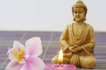 Buddha, Meditation