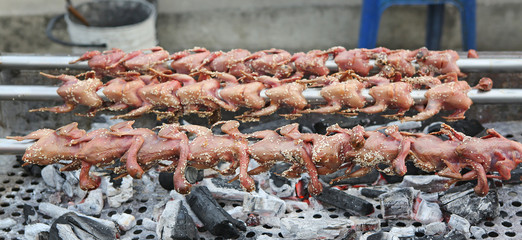 grilled small birds