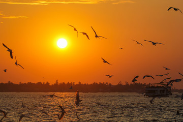 Golden sunset
