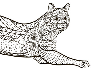 Cat Coloring book vector for adults