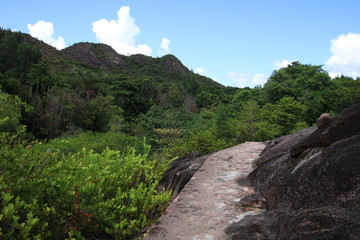 Fototapeta na wymiar Footpath / Tropical Vegetation of Curieuse Island close Praslin, Seychelles, Indian Ocean, Africa 