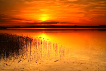 Fototapeta na wymiar Stiller See mit Schilf bei Sonnenuntergang, Mecklenburger Seenplatte