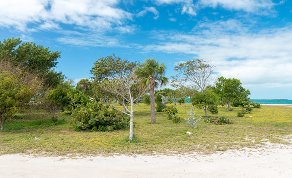 Zachary Bilder Durchsuchen 402 Archivfotos, und Videos