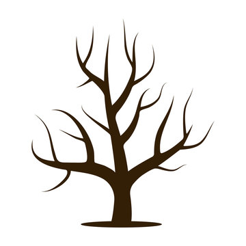 Tree without leaves. Vector illustration isolated on a white background
