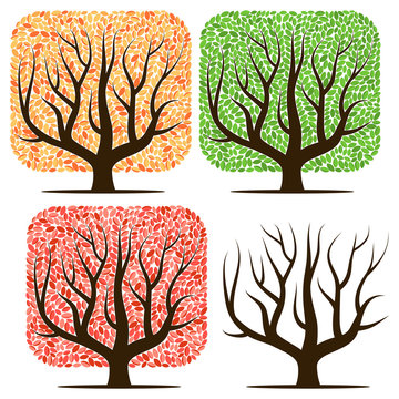Four trees with green, red, yellow leaves and without leaves. Vector illustration isolated on a white background
