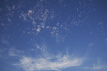 Background. Rare bright clouds in the shape of a flower on a blue sky at sunset in late summer. 