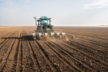 Fototapeta premium Farmer with tractor seeding - sowing crops at agricultural field in spring