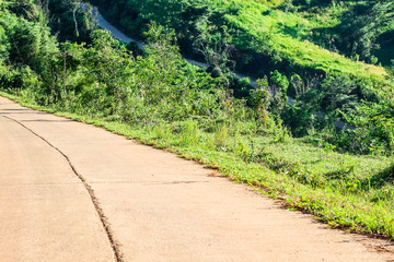 Country side road surrounding with green plant