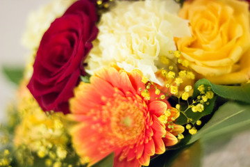 Wunderschöne verschiedene bunte Frühlingsblumen Nahaufnahme 