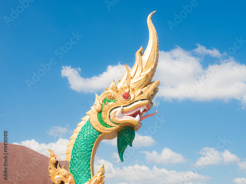 Koleksi Wallpaper Foto Naga | Download Kumpulan Wallpaper Biru