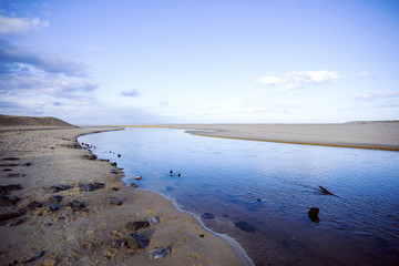 marrée en atlantique 