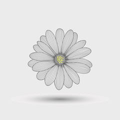 Abstract floral background. Hand drawing flower chamomile .Element for design
