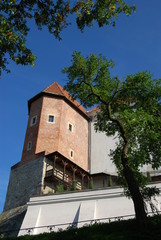 Fototapeta premium Sandomierz, Zamek.