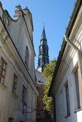 Sandomierz, Katedra pw. Narodzenia NMP.