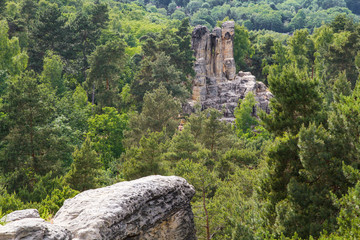 Sandsteinfelsen bei Halberstadt im Harz