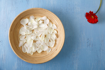 Petals of white roses and red gerbera flower. Blue painted rustic background. Fresh natural flowers in bowl. Dirty grunge wooden board.