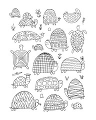 Obraz premium Funny turtles collection, sketch for your design