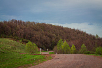 Winding road in spring forest